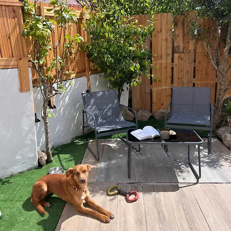 Cozy & Garden For People & Dogs Дом отдыха