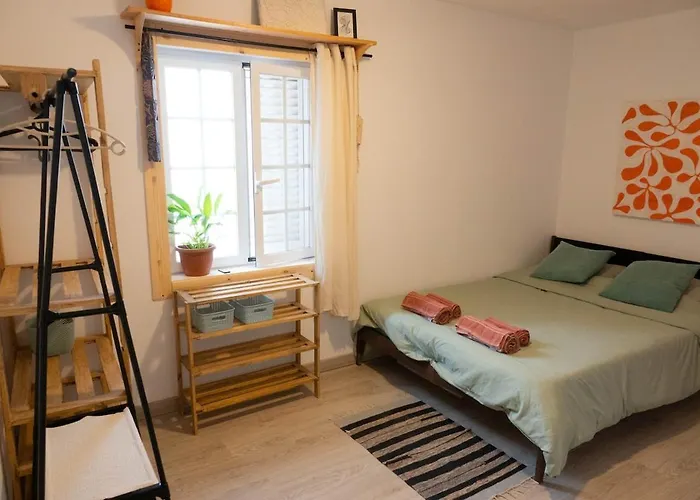 Casa vacanze Cozy & Garden For People & Dogs